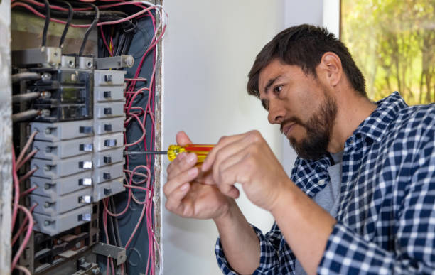 Best Electric Panel Repair  in Woodlawn, VA